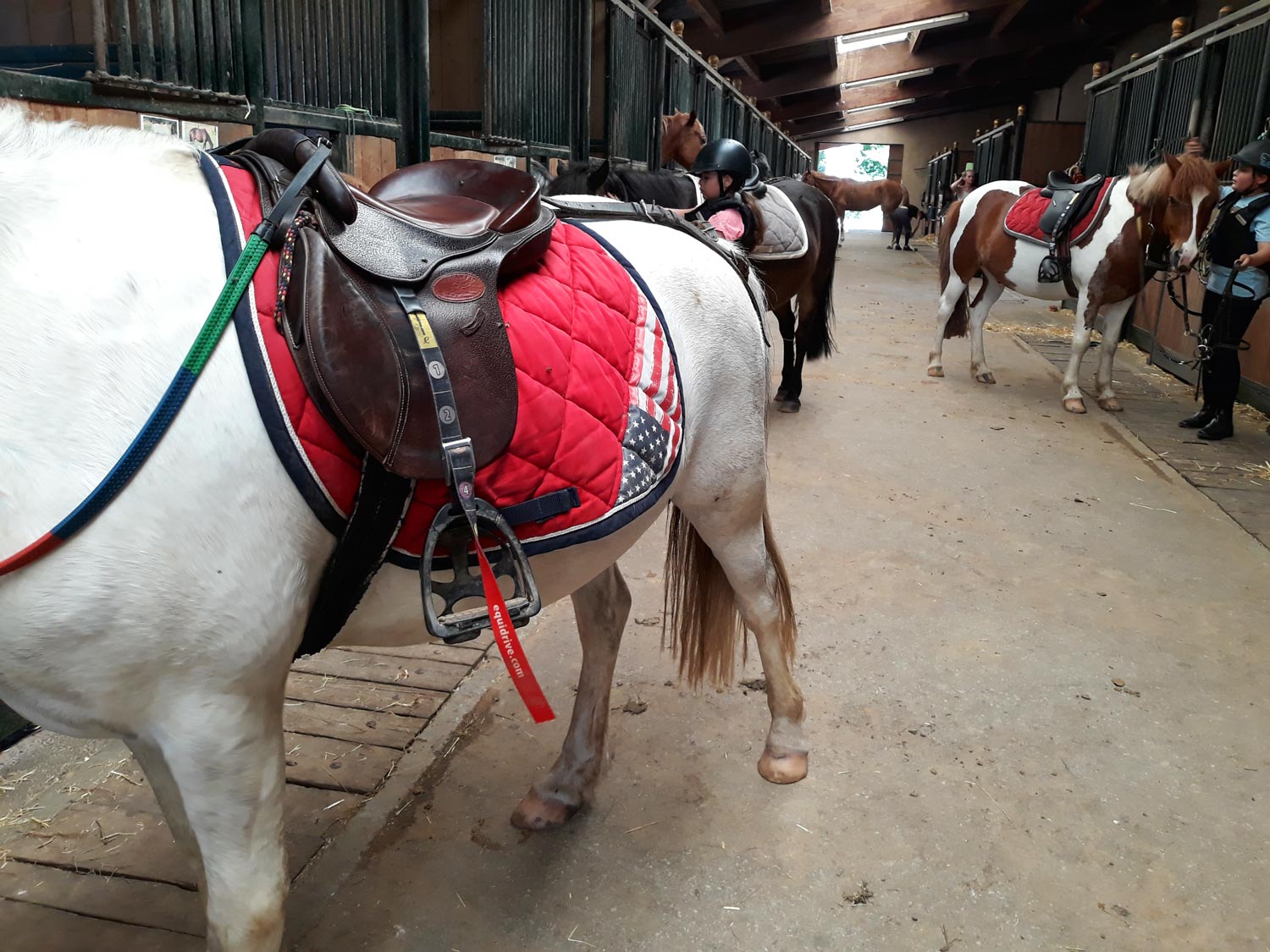 Préparation de son poney