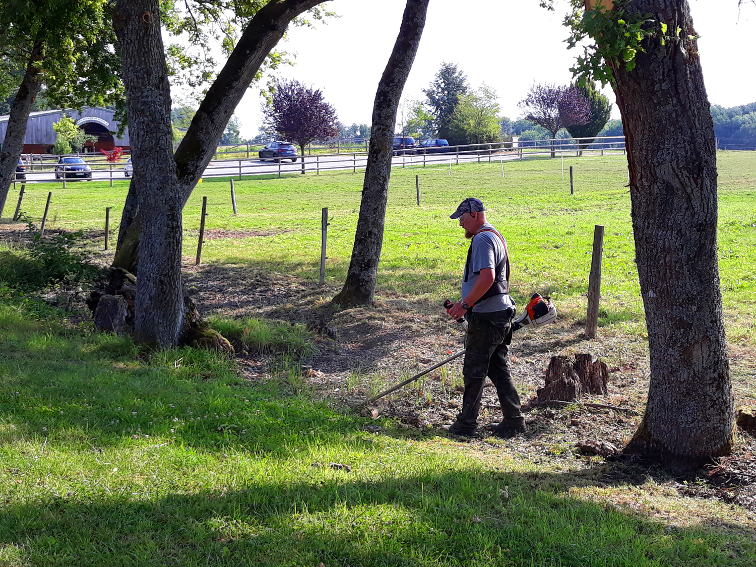Entretien des espaces verts