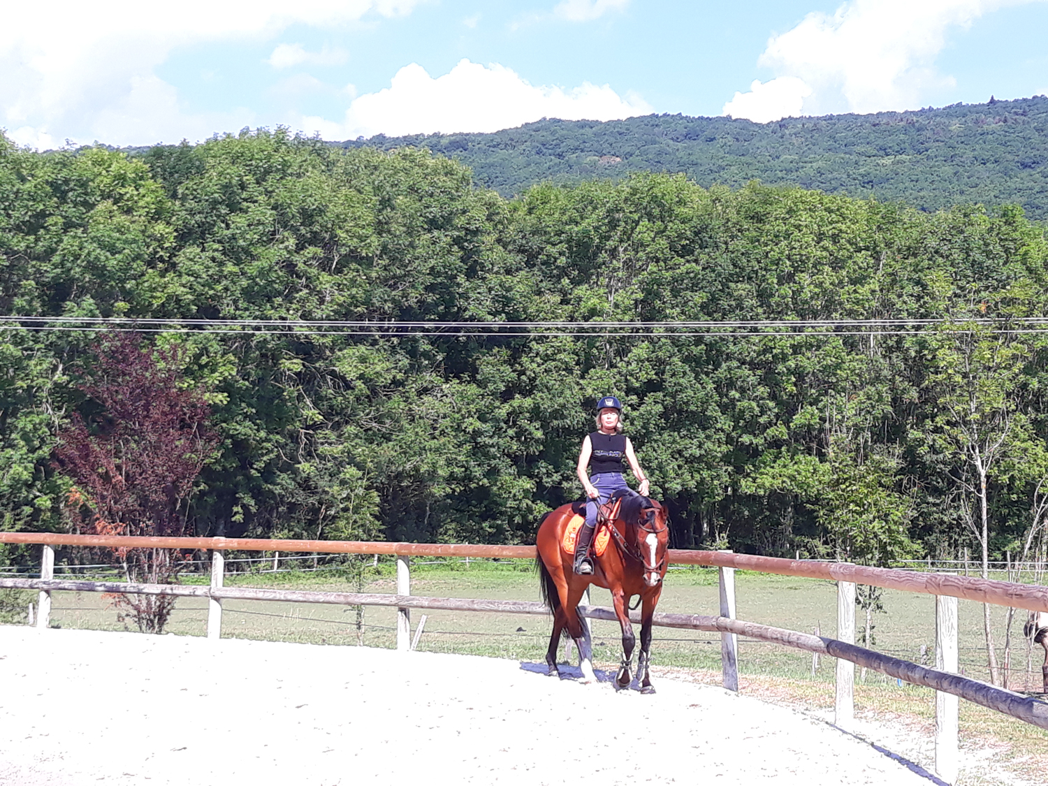 Cours d'équitation privés adultes