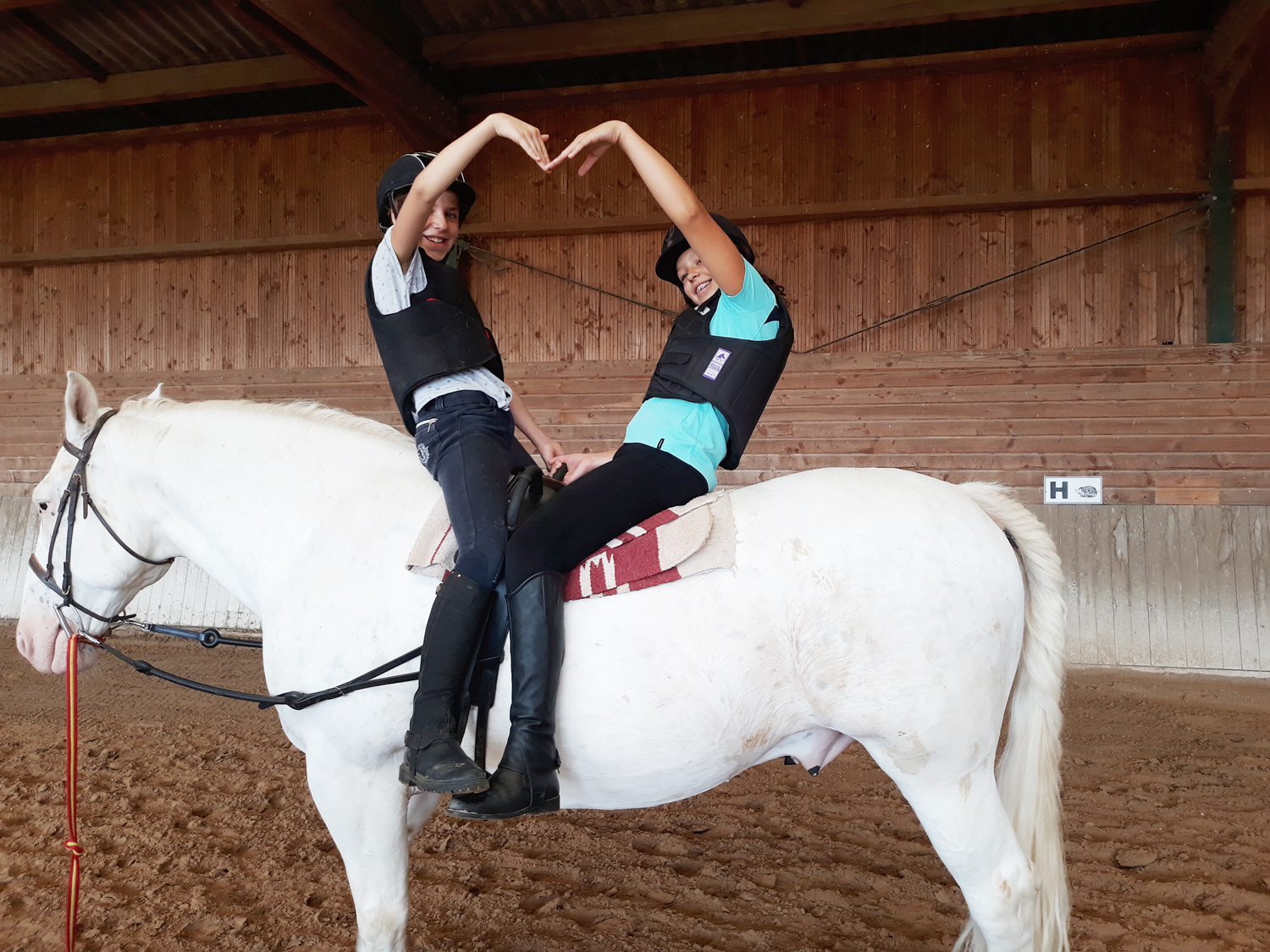 Cours de Voltige au poney club
