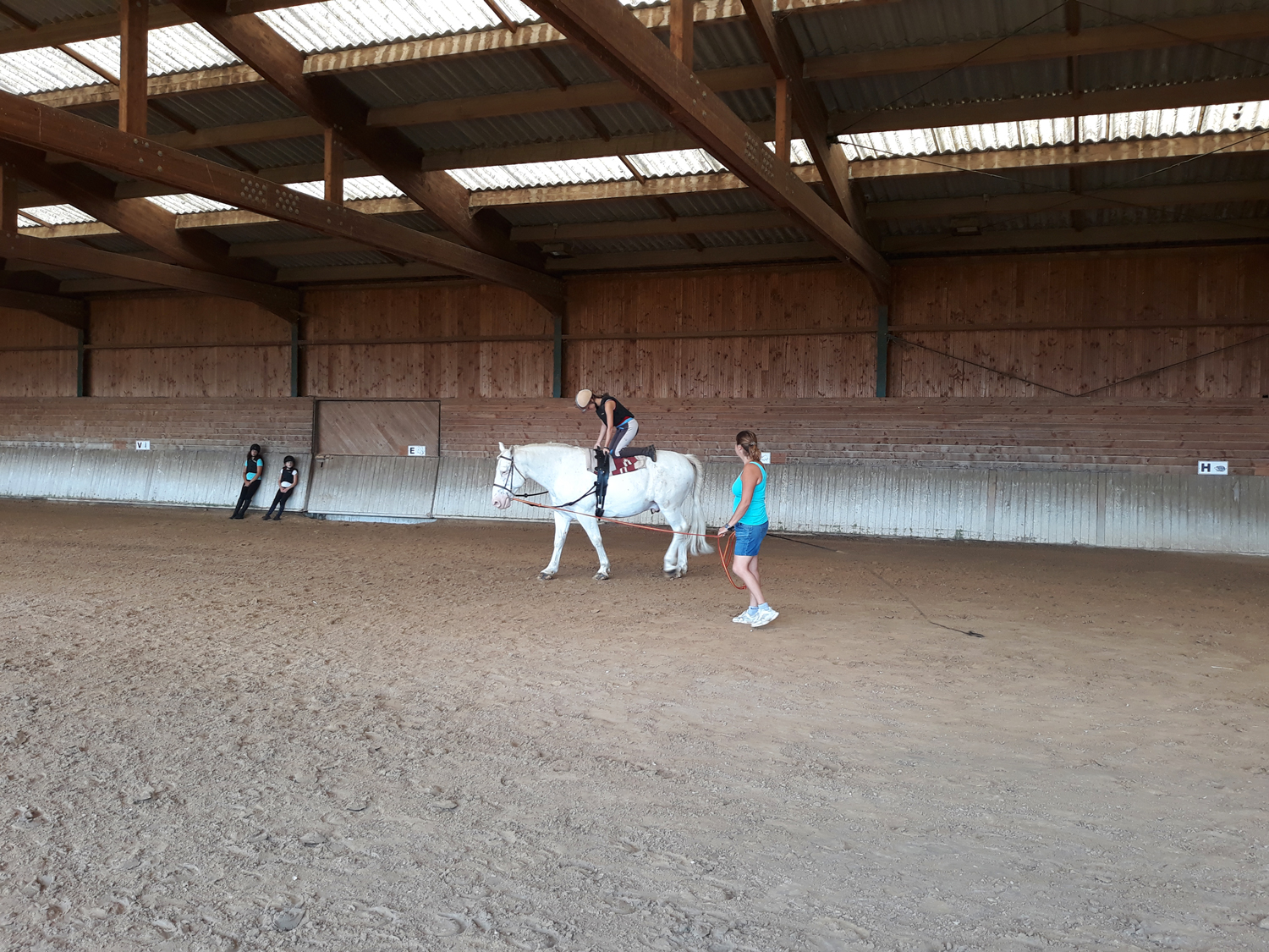 Cours de Voltige au poney club