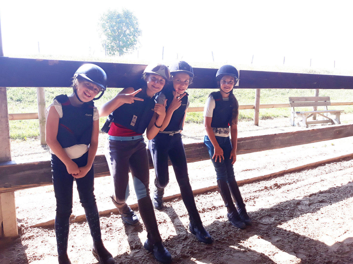 Cours de Voltige au poney club