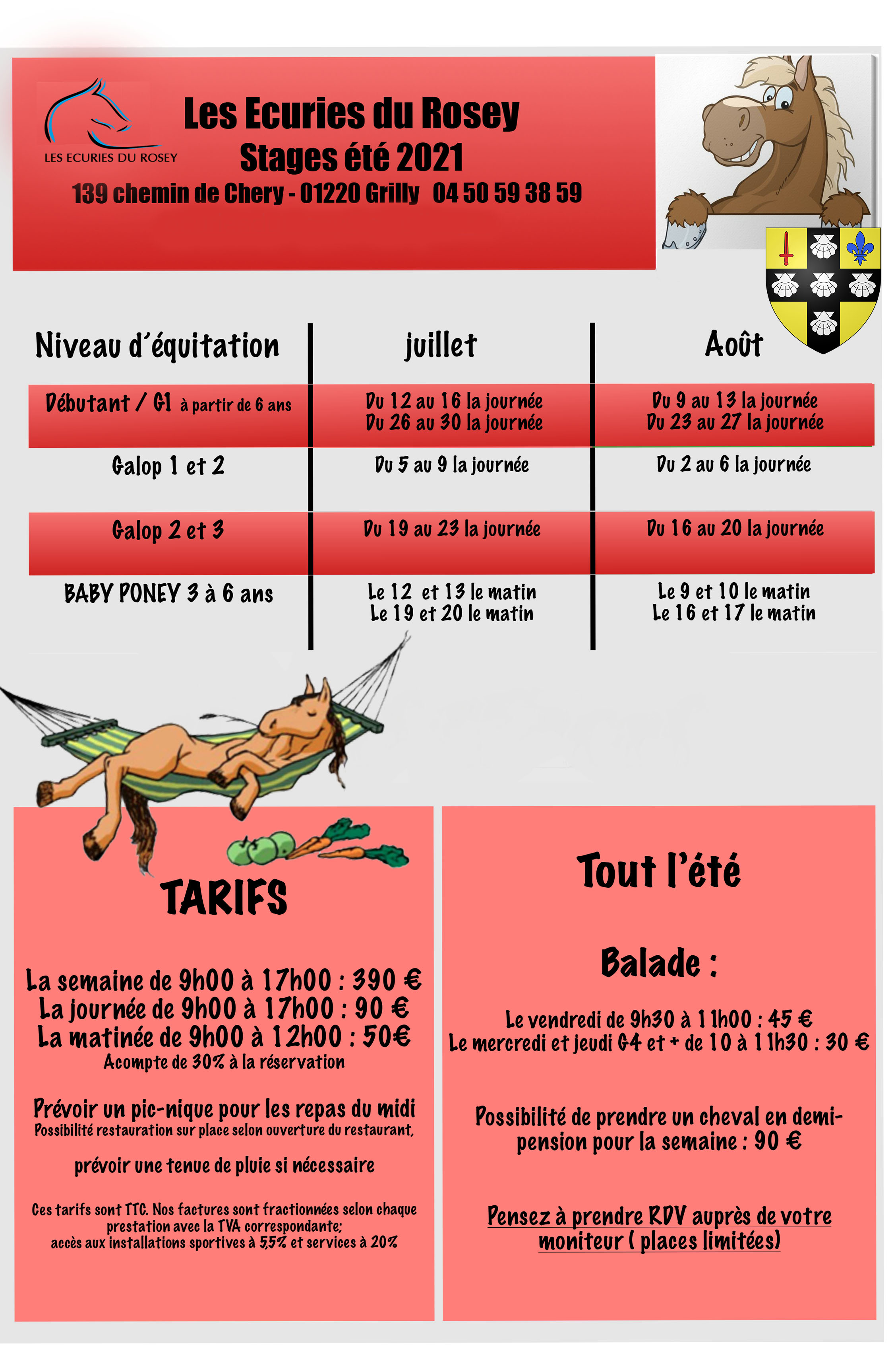 Stages équitation été 2021 aux Écuries du Rosey, poney-club dans le pays de Gex