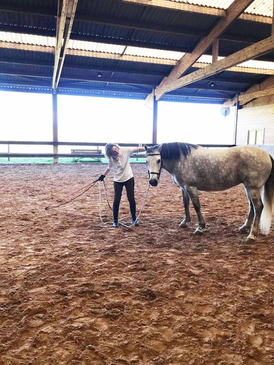 Approche éthologique aux Écuries du Rosey, centre équestre dans le pays de gex Approche éthologique aux Écuries du Rosey, centre équestre dans le pays de gex