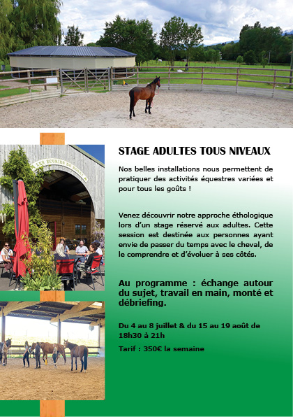Stages d'été équitation ADULTES aux Écuries du Rosey, centre équestre dans le pays de Gex