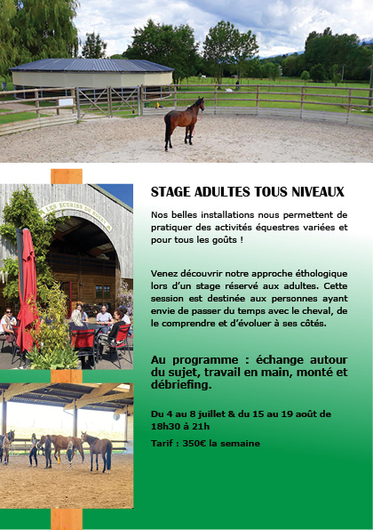 Stages d'été équitation ADULTES aux Écuries du Rosey, centre équestre dans le pays de Gex Stages d'été équitation ADULTES aux Écuries du Rosey, centre équestre dans le pays de Gex
