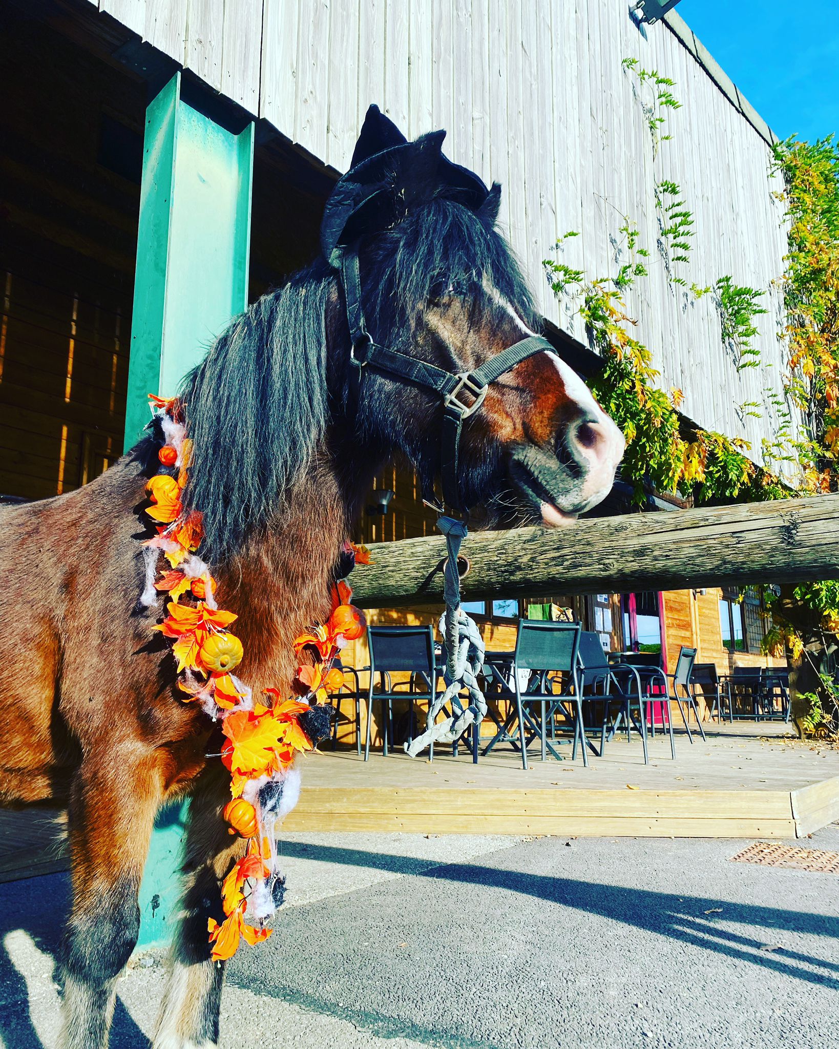 Fête d'Halloween aux Écuries du Rosey
