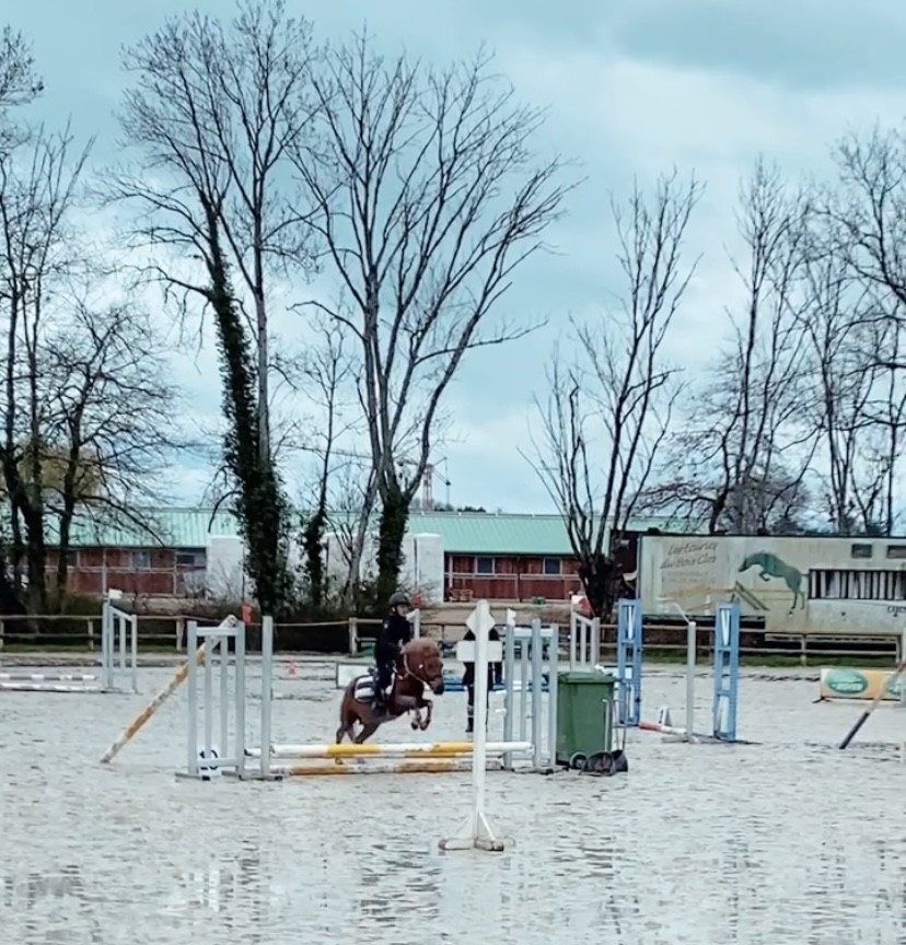 Initiation concours pour tout le monde dans notre poney club Initiation concours pour tout le monde dans notre poney club