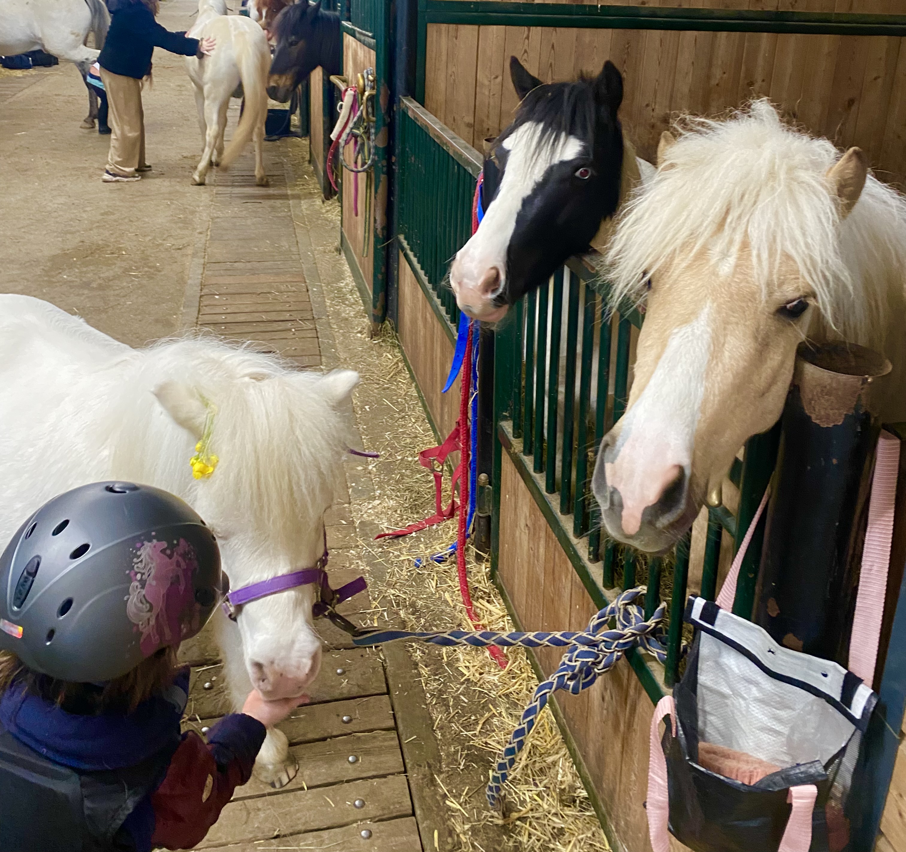 Ouff nous avons éradiqué ce petit virus ! Ouff nous avons éradiqué ce petit virus !
