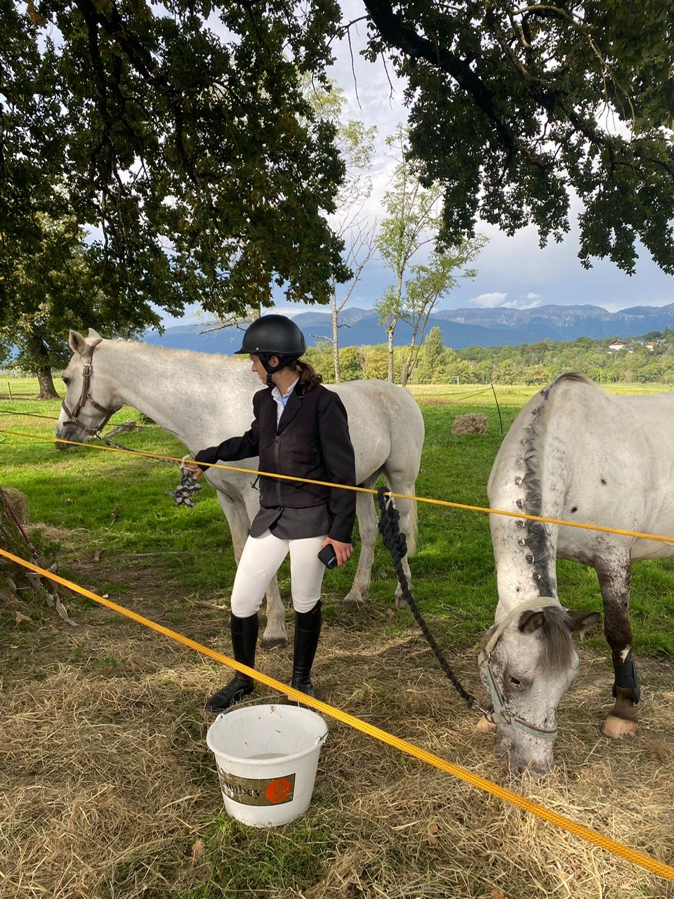 Les concours aussi ! OBJECTIF : Championnat de France