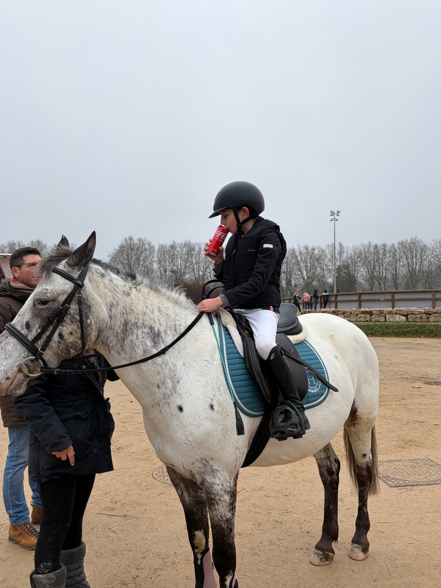 Compétition de Noël !