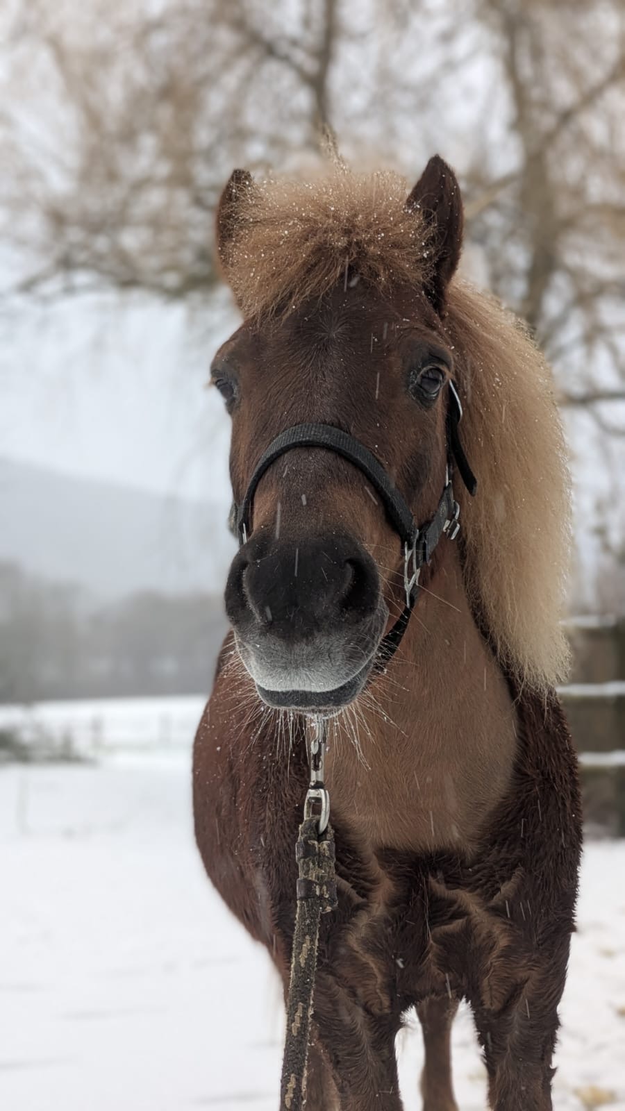Les jolies couleurs de la team ROSEY <3