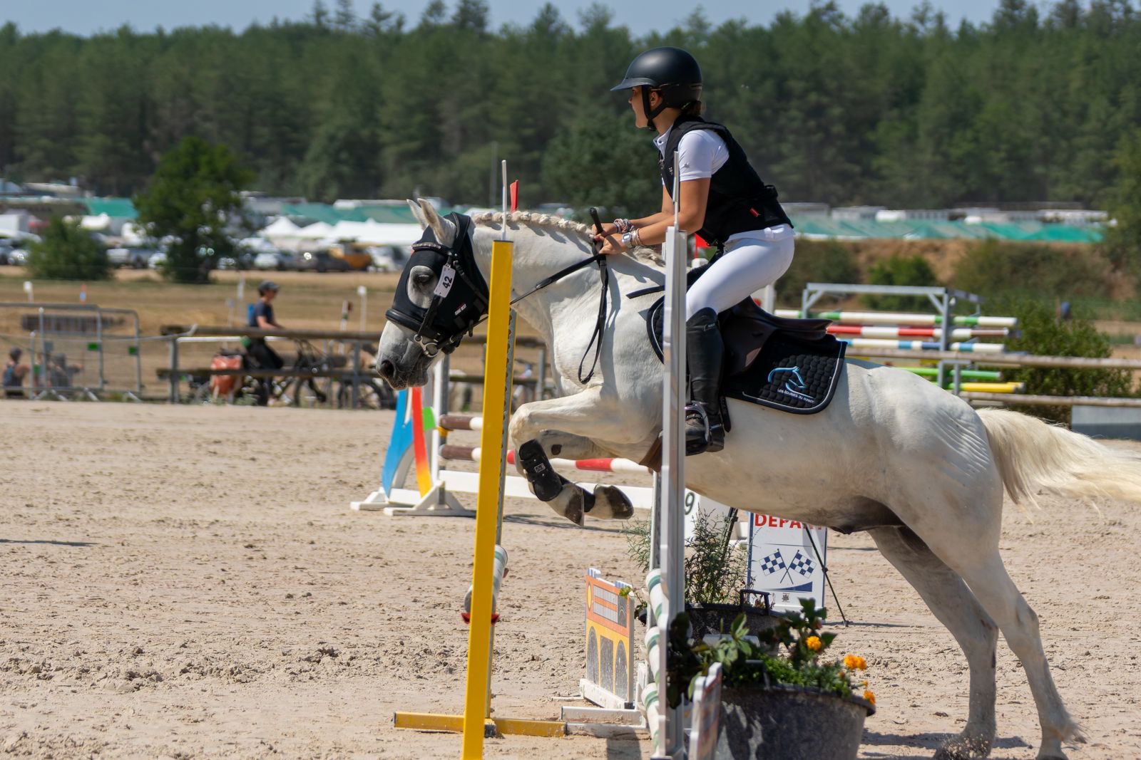 Les Ecuries du Rosey au Championnat de France !