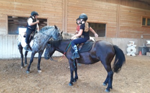 Jeux à poneys