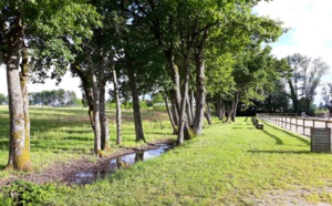 Point d'eau et de verdure 