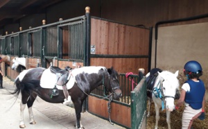 Préparation de son poney