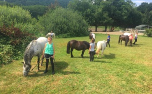 Faire brouter son poney !