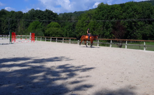 Cours d'équitation privés adultes