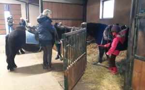 Préparation des poneys pour le cours d'équitation aux Écuries du Rosey