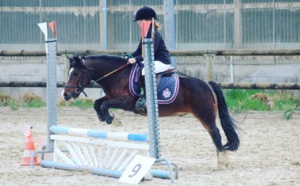Challenge interclubs CSO avec l'Abreuvoir de Grilly