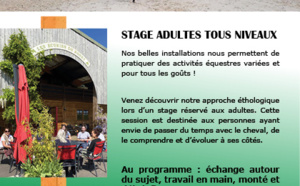Stages d'été équitation ADULTES aux Écuries du Rosey, centre équestre dans le pays de Gex