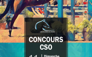 CONCOURS DE CSO