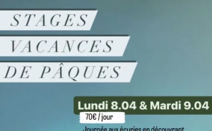 Stage équitation lors des vacances de Pâques aux Ecuries du Rosey