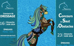 CONCOURS DE CSO &amp; DRESSAGE AUX ECURIES DU ROSEY