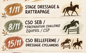 Activités du mois d'octobre aux Ecuries du Rosey