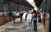 Les cours d'équitation des Écuries du Rosey