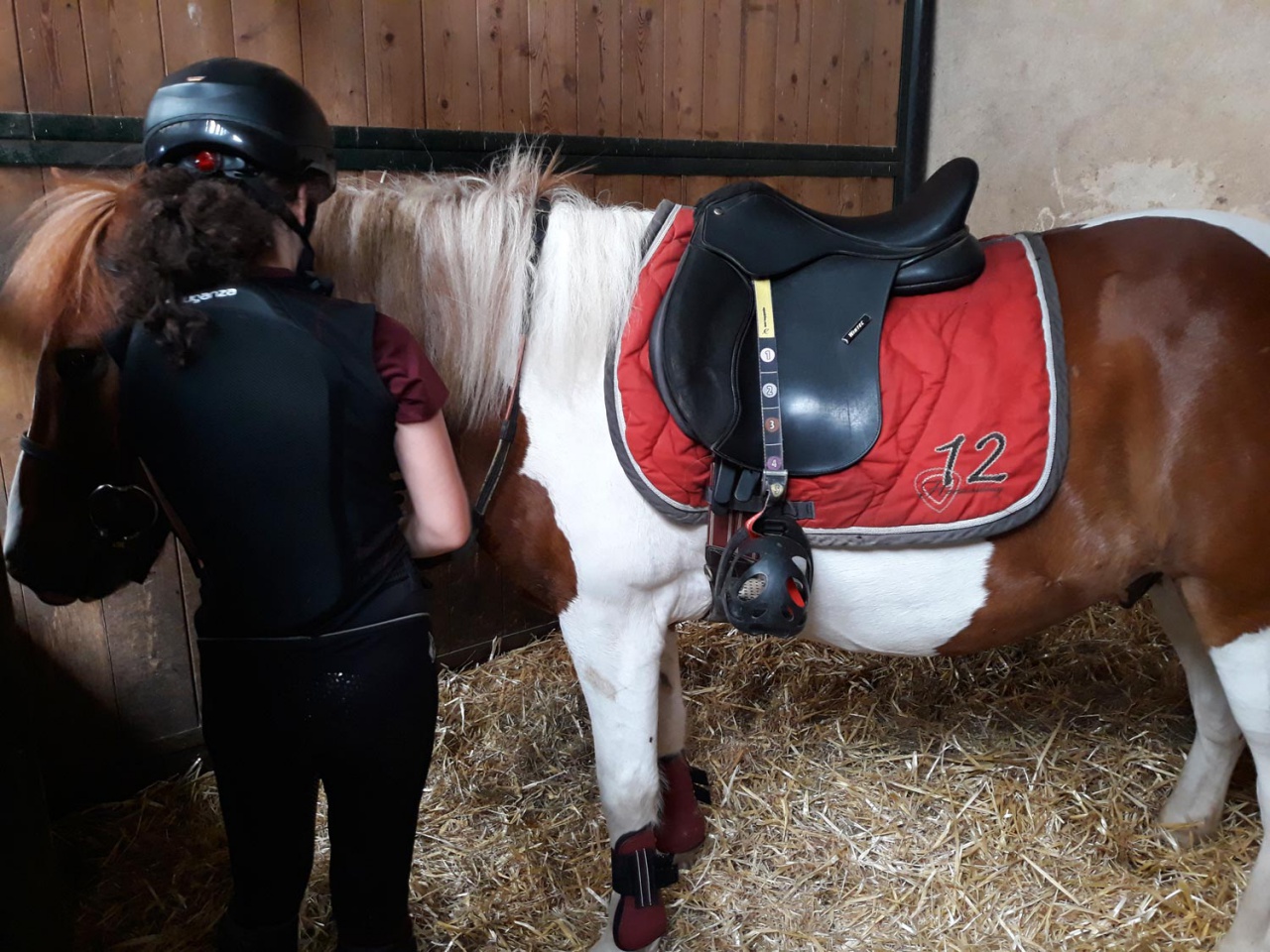 Le Poney Cub des Écuries du Rosey dans le pays de Gex, les écuries 26