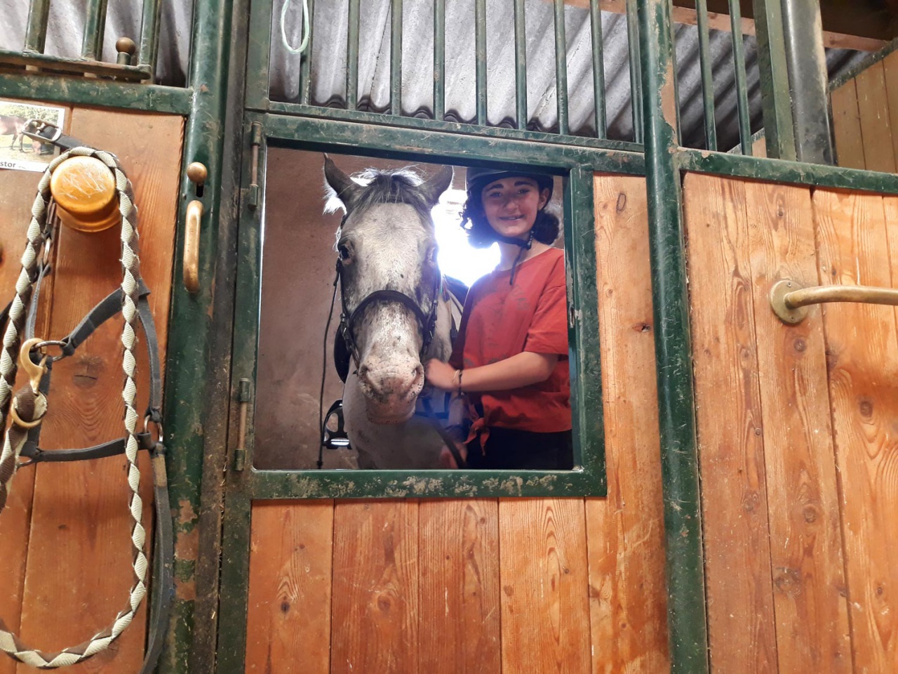 Le Poney Cub des Écuries du Rosey dans le pays de Gex, les écuries 27