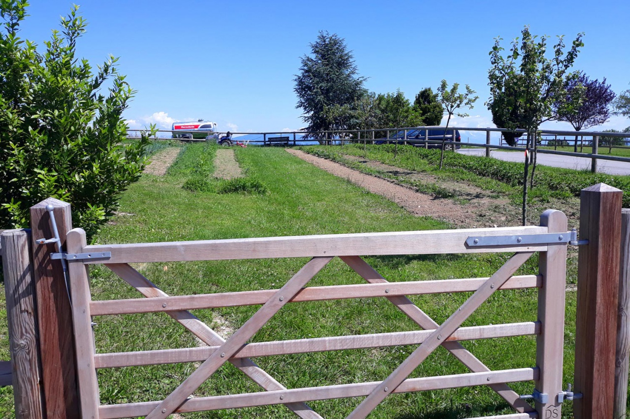 Centre équestre des Écuries du Rosey dans le Pays de Gex, le cadre 15