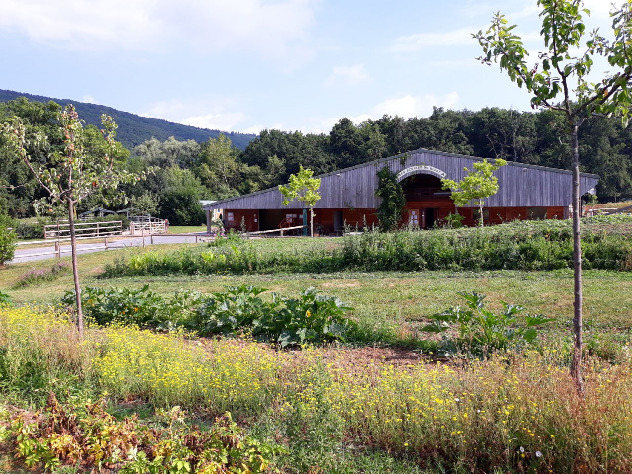 Centre équestre des Écuries du Rosey dans le Pays de Gex, le cadre 08